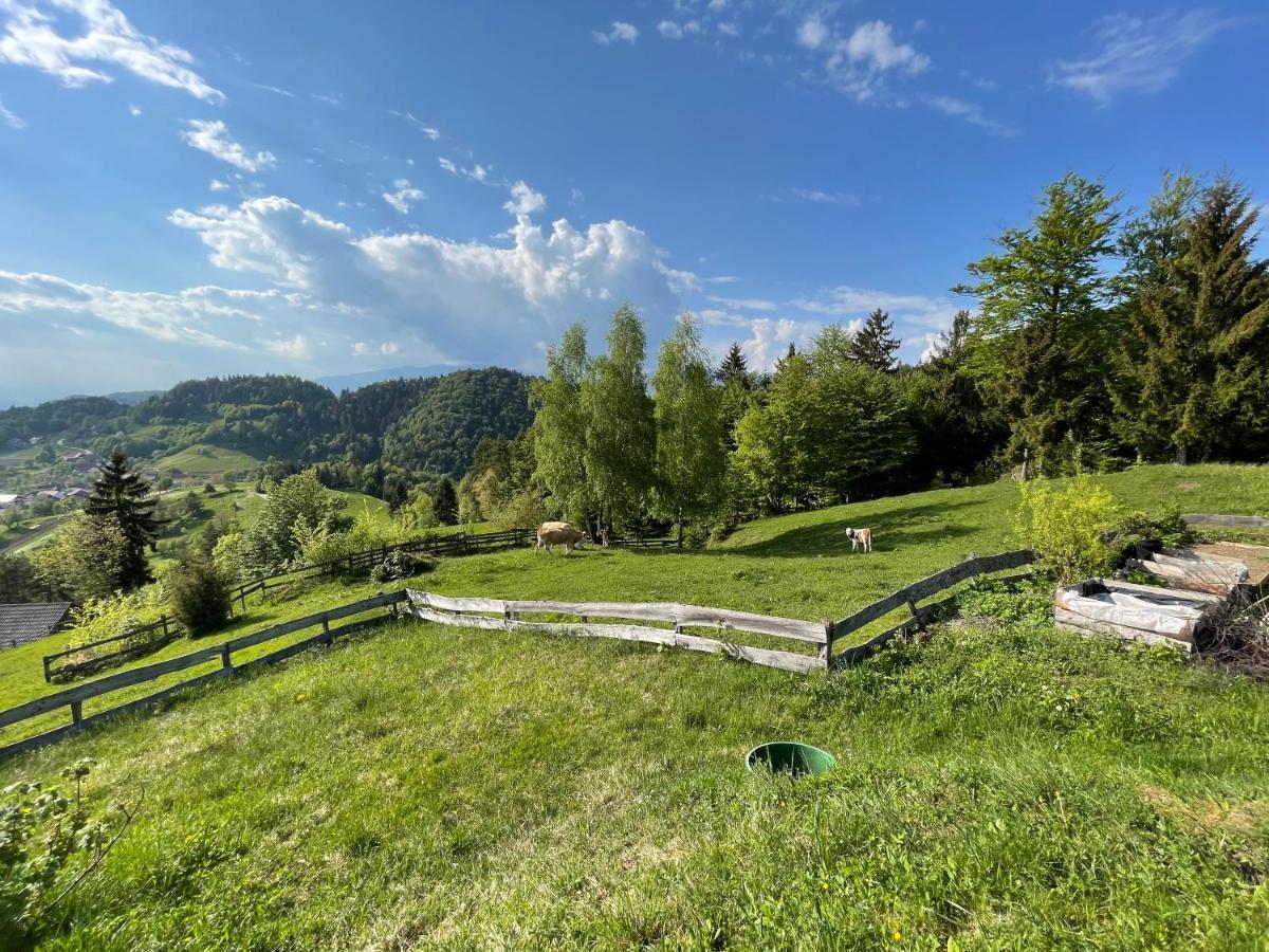 Mountain View Cottage كامنيك المظهر الخارجي الصورة
