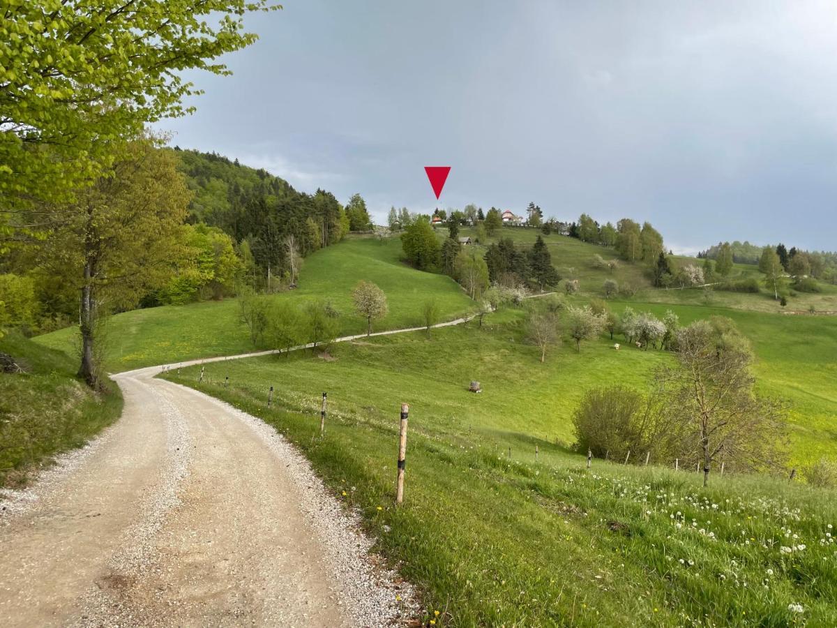 Mountain View Cottage كامنيك المظهر الخارجي الصورة
